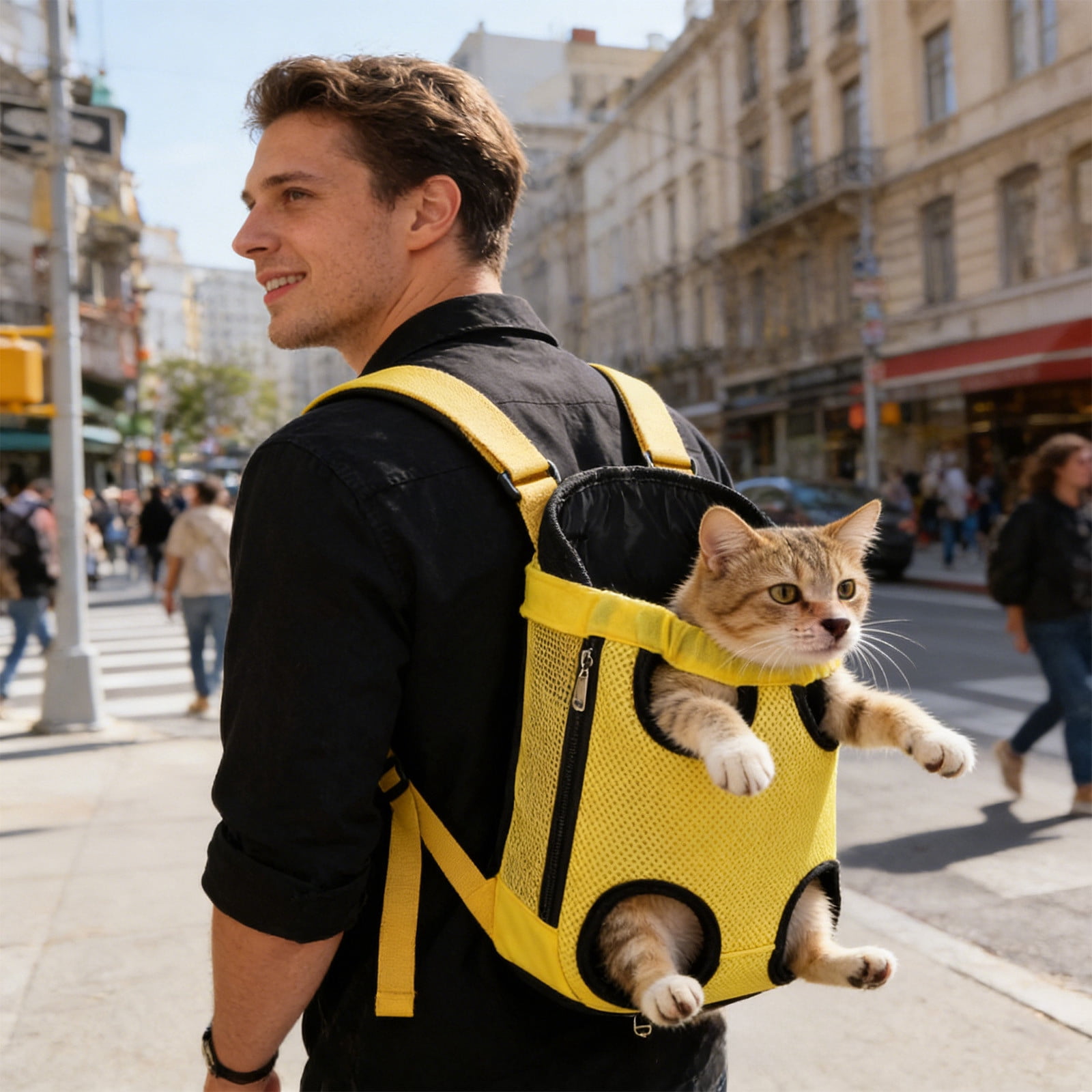Lunxisen 4 Pcs Breathable Pet Backpack Carrier Mesh Ventilation Outdoor Travel Hiking Portable Dog Cat Carrier Bag(S)