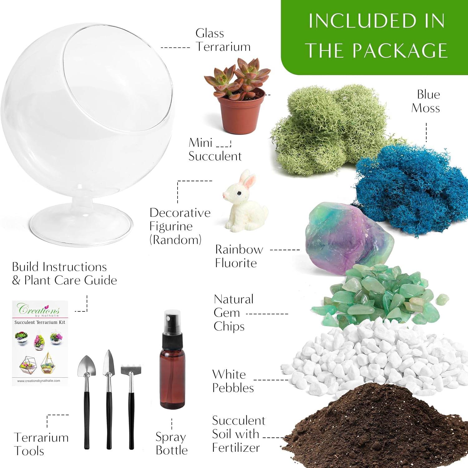 6" Chalice Glass Succulent Terrarium Kit for Kids & Adults, Reindeer Moss, Crystals, Rocks, Tools & Figurine (Includes Live Plant)
