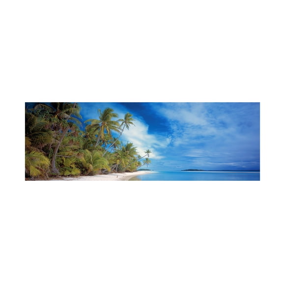 Trademark Fine Art 'Palm Landscape' Canvas Art by Doug Cavanah