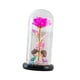 thumbnail image 5 of Flor artificial Rosa, en una de cristal Luz LED Adornos hechos a mano Arreglo Rosa Eterna para siempre Rosa para el día de la madre , Rosa roja, 5 of 9