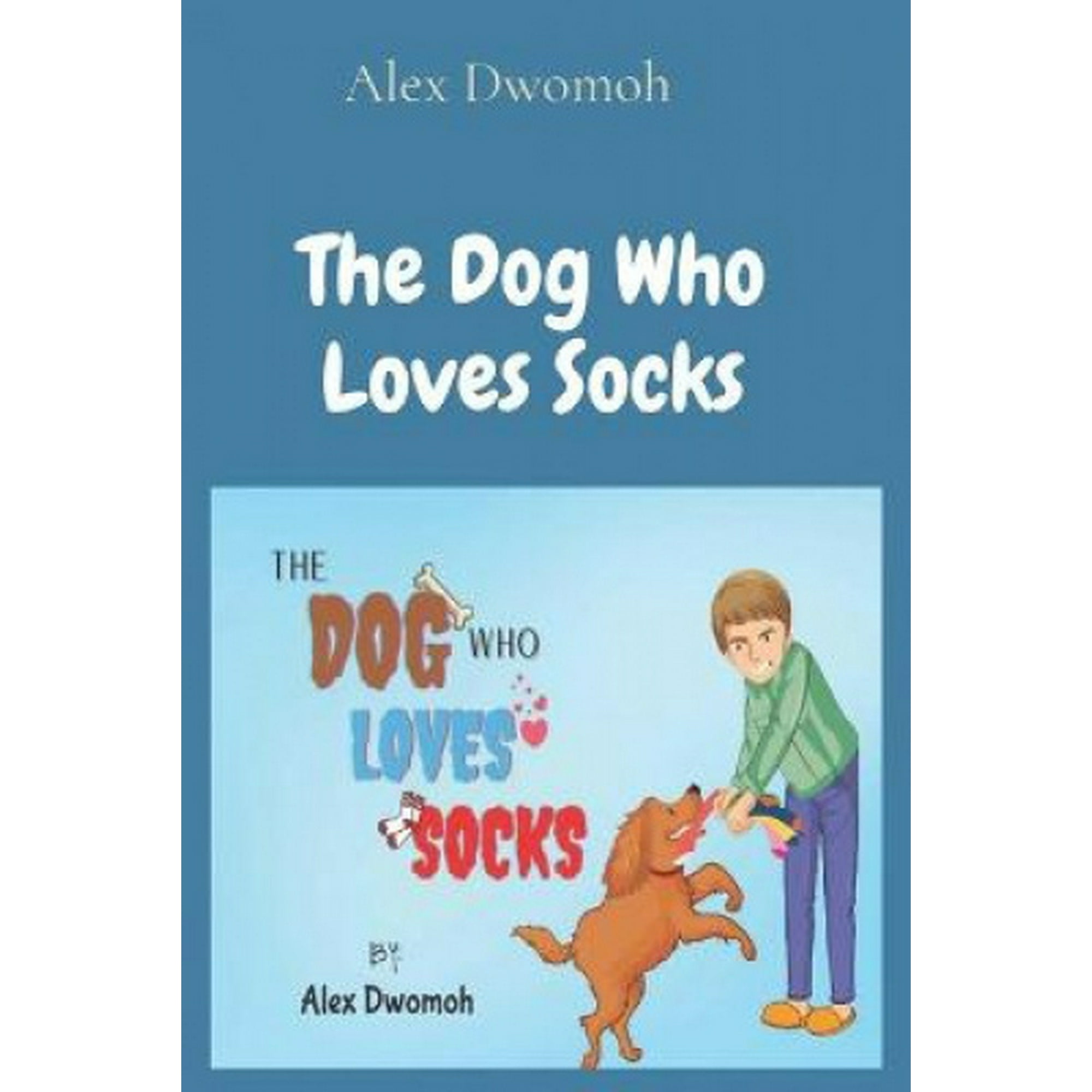 Why Does My Dog Hide Socks