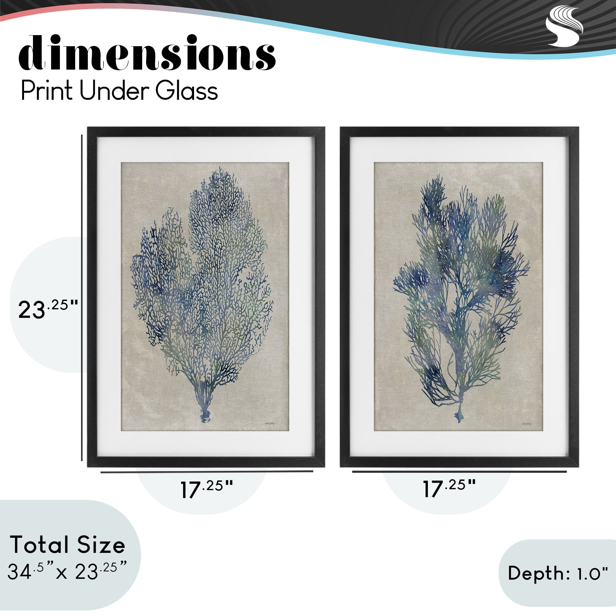 Stupell Industries Fan Coral Study in Blues 2 Piece Black Framed Print Under Glass Set, design by Amber Sterling