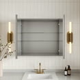 thumbnail image 3 of 30 in. W x 26 in. H Rectangular Silver Aluminum Bi-View Dual Swing Surface-Mount Bathroom Medicine Cabinet with Mirror, 3 of 11