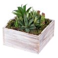 thumbnail image 1 of Vickerman Vickerman Jardinière Carrée Blanche pour Arrangement Succulent 7 Pouces, 1 of 3