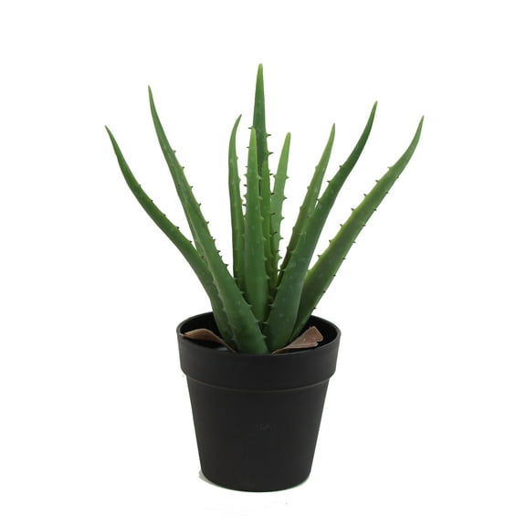 The Mod Greenhouse 14" Artificial Green Aloe Vera Plant in a Matte Black Grower's Pot