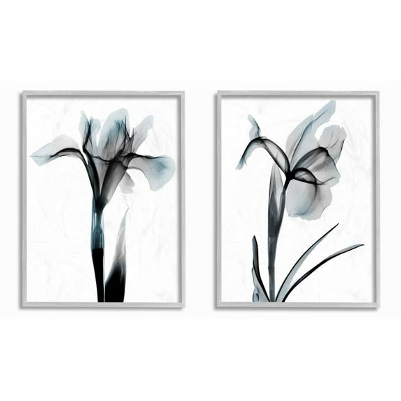 Stupell Industries Contrast Black And Blue Flower Bloom Designs Framed Wall Art by Albert Koetsier, 2 Piece, 11" x 14", Gray Framed