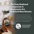 thumbnail image 5 of Triquetra Health MycoMax Lion's Mane Extract Capsules - 70% Beta Glucans, 5 of 8