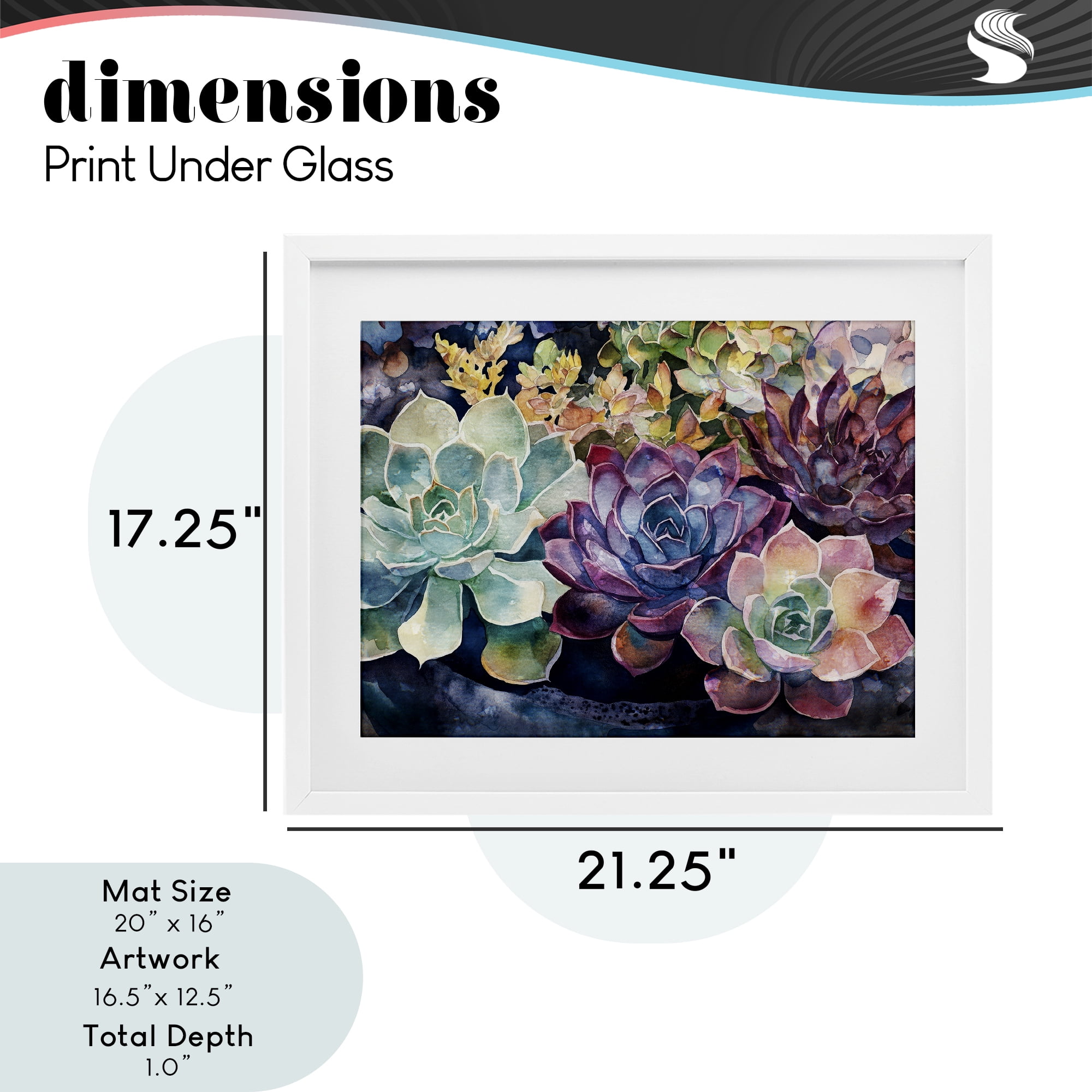 Stupell Industries Tutti Succulents Collection White Framed Print Under Glass, design by Svetlana Aleynikova
