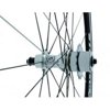 Ventura Single Speed Cog Set