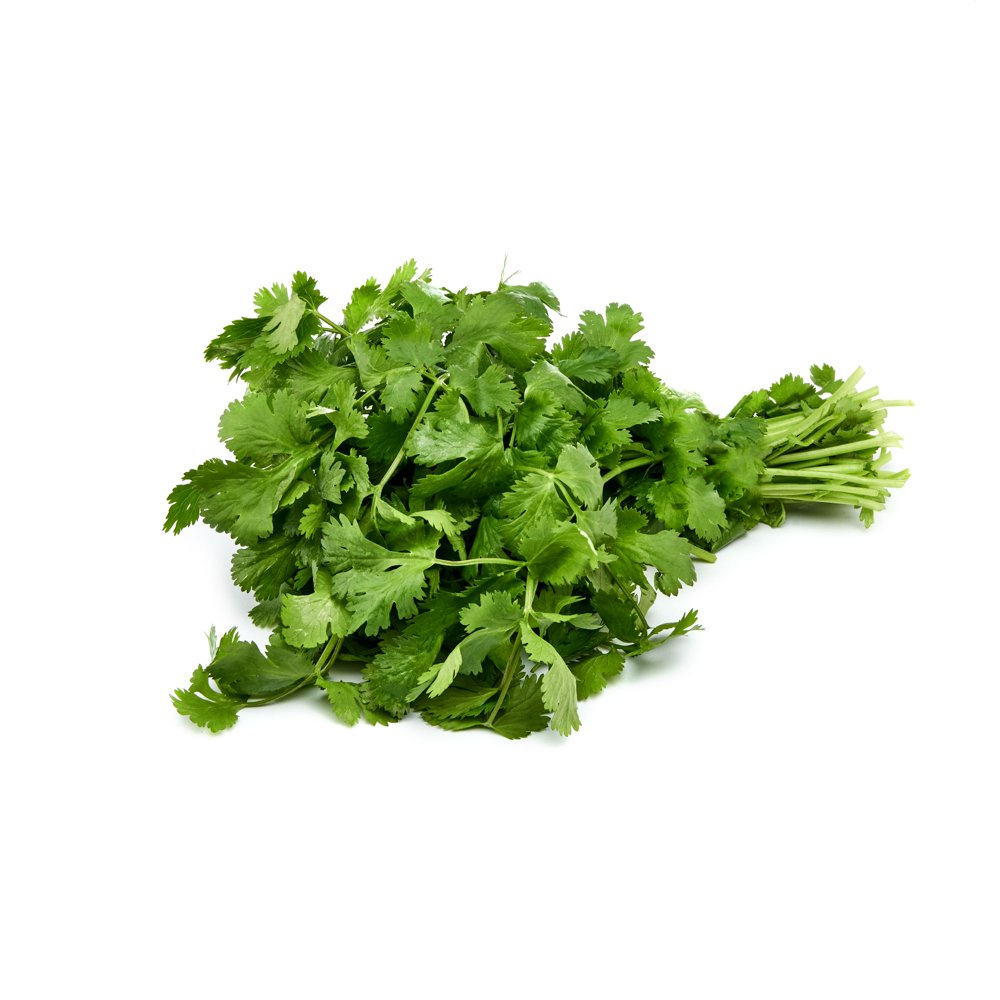 Cilantro, bunch