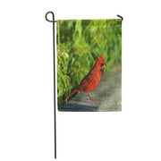 POGLIP Oiseau rouge Cardinal perché sur la balustrade champs forêts drapeau de jardin drapeau décoratif maison bannière 12x18 pouces