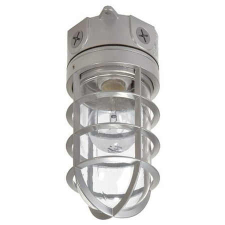 Cooper Lighting Well Light