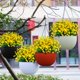 thumbnail image 4 of Lnoicy 20 Piezas De Flores Artificiales Para Decoración De Flores De Plástico Al Aire Libre, Flores Artificiales Resistentes A Los Rayos Uv, Arbustos, Plantas Artificiales Para Interior, Exterior, Jar, 4 of 5