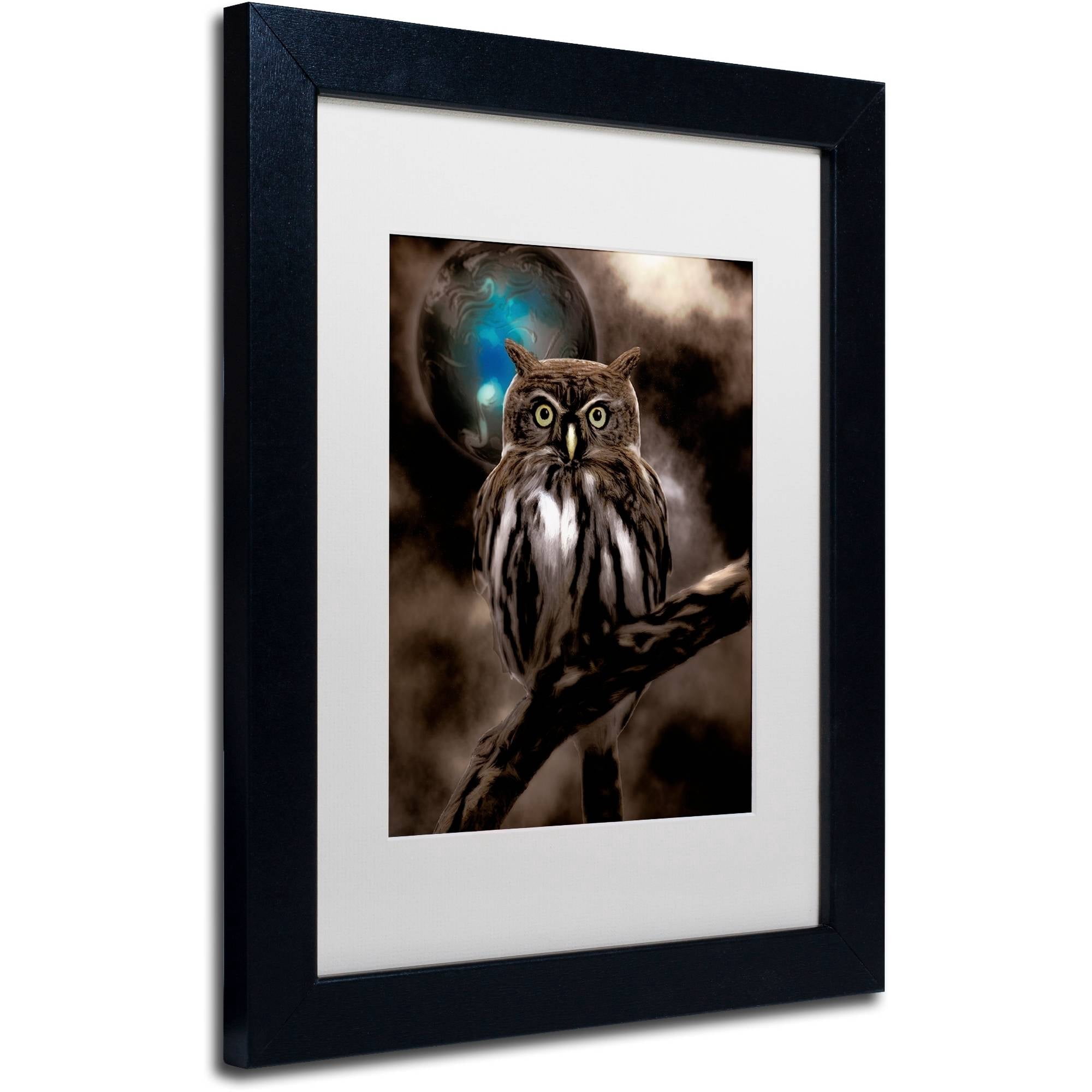 Trademark Fine Art "Night Owl" Canvas Art by Color Bakery White Matte, Black Frame