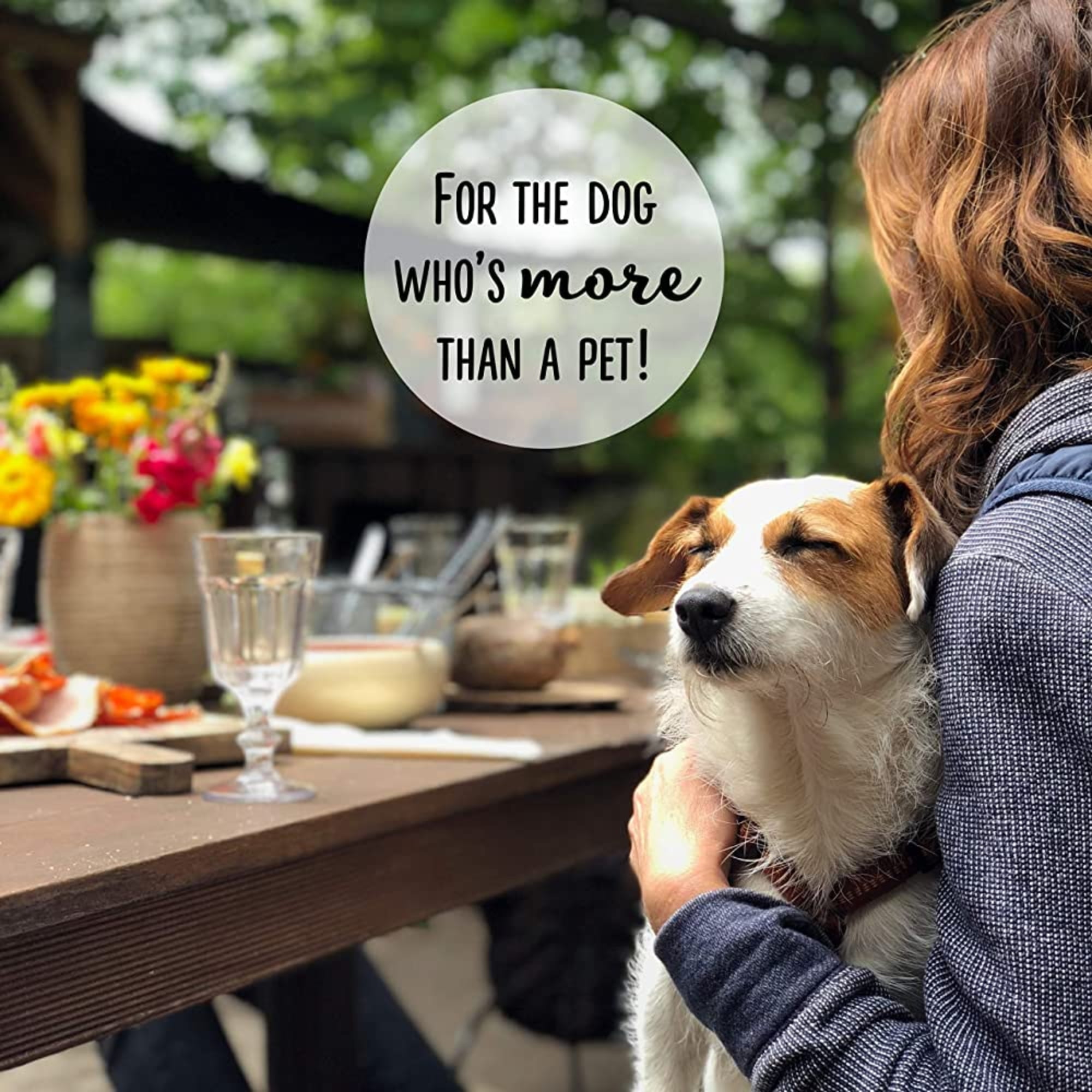 Canine Carry Outs Beef & Cheese Flavor Dog Snacks with Delicious Aroma & Soft Texture for Pup Treats Snackings Treating Training Goodies for All Dog Sizes Convenient & Resealable Bags 5.2oz Pack of 4