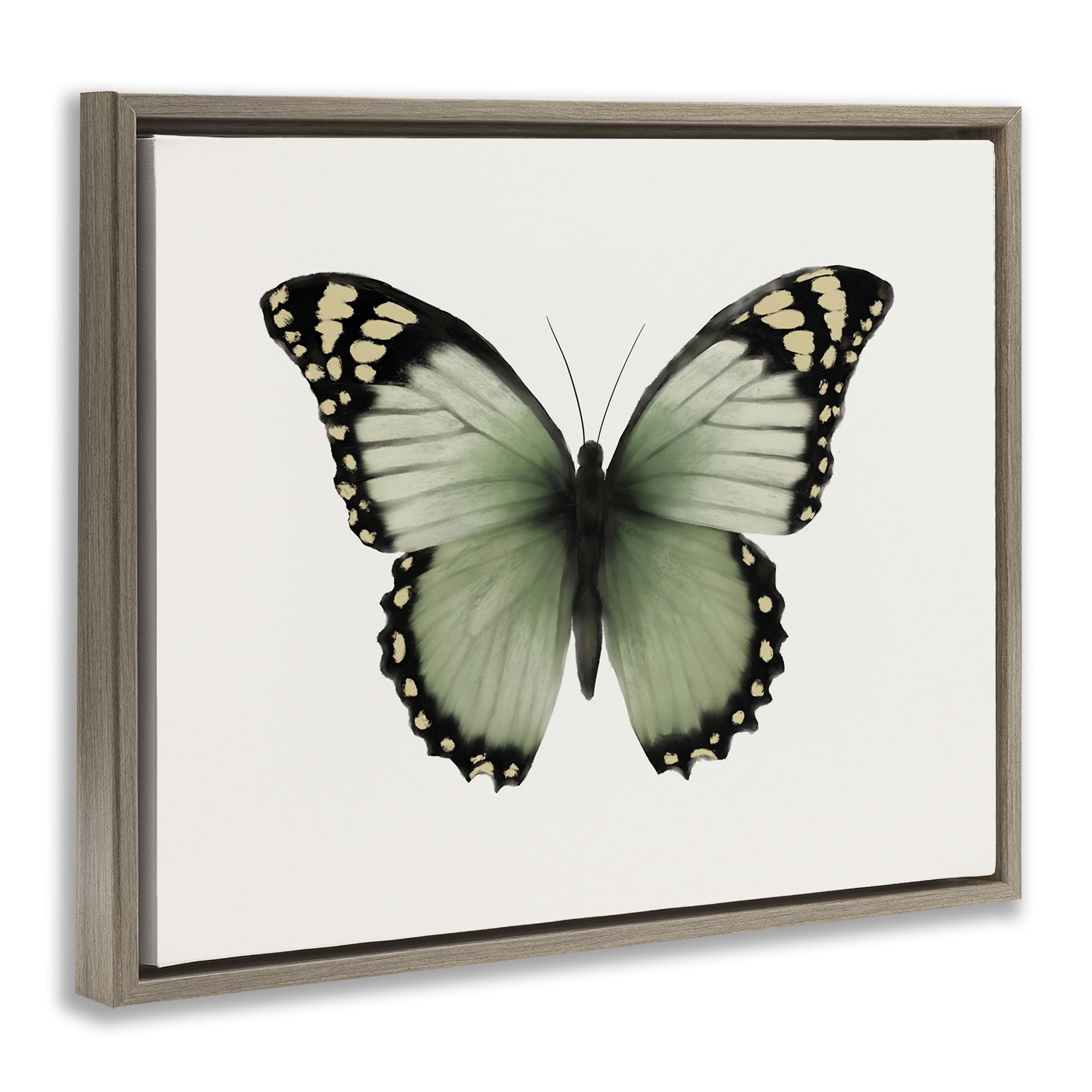 Stupell Industries Green Symmetrical Butterfly Animals Painting Brown Floater Framed Canvas Art Print Wall Art, 21 x 17