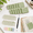 Green, variant on 800 Sheet Yellow Lined Transparent Sticky Note Set with Dual-Tip Marker and Index Tabs