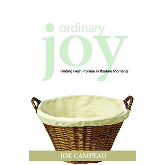 Pre-Owned Ordinary Joy: Finding Fresh Promise in Routine Moments (Paperback) 0806651458 9780806651453