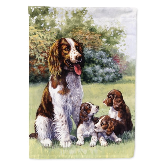 Carolines Treasures BDBA0288GF Springer Spaniels by Daphne Baxter Flag Garden Size  Small multicolor