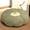 Green, variant on 27.5"x9.8" Pumpkin Futon Seat Cushion Set of 1, Large Plush Floor Pillow Sofa Cushion for Reading Corner Dorm Room, Soft Round Floor Seat Cushion for Living Room Home Decor Use (Brown)