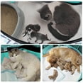 thumbnail image 3 of SENNAUX Foldable Pet Playpen Portable Dog Crate for Dogs Cats Other Small Animals,L, 3 of 7