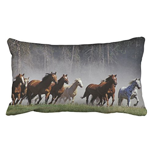 Details about   Western Pillow Sham Horse Valley Sky View Printed Pillowcase 30 x 20 Inches 