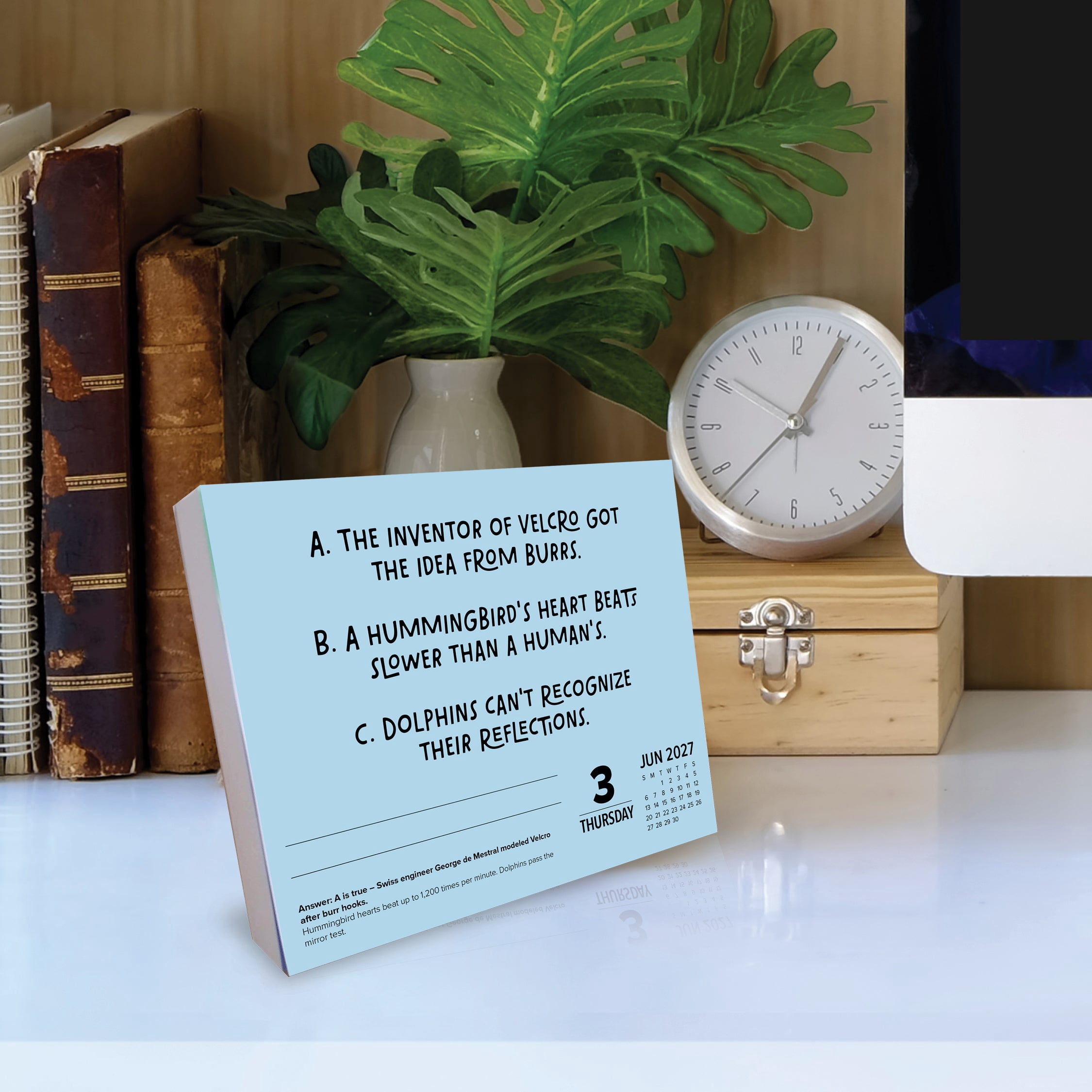 Willow Creek Press, Two Lies and a Truth 2027 Box Calendar