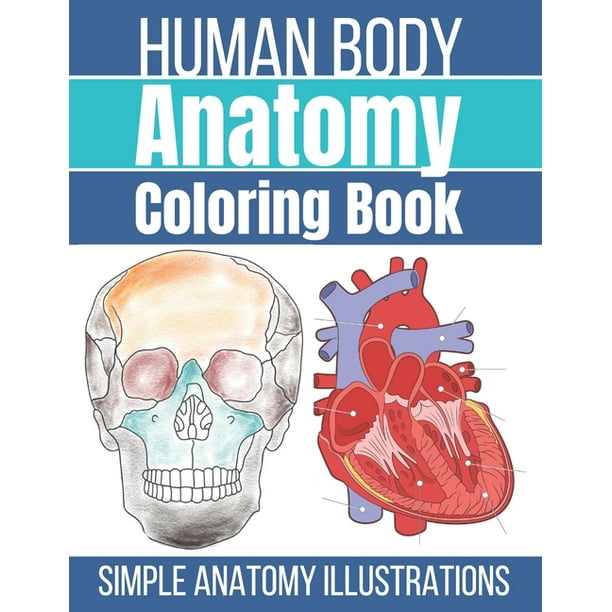 Human Body Anatomy Coloring Book Anatomy And Physiology Coloring Workbook Paperback Walmart Com Human Body Anatomy Coloring Book Anatomy And Physiology Coloring Workbook Paperback Walmart Com