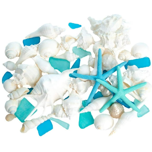 Sea Shell Mix | 1lb Real White Beach Shells with Real Dyed Blue & Green Starfish & Aqua Blue Sea Glass | Vase Filler Craft Centerpiece