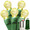 Warm white, variant on 16Ft Battery Operated Christmas Lights, 50 LED G12 Berry String Lights for Indoor Outdoor Holiday Decor