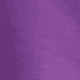 thumbnail image 4 of Blusa con Estampado de Mariposa y Girasoles – Diseño Único y Significativo Color Morado Talla Grande Marca Emil SaEs, 4 of 4