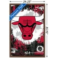 thumbnail image 3 of NBA Chicago Bulls - Maximalist Logo 23 Wall Poster, 22.375" x 34" Framed, 3 of 5