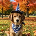 thumbnail image 7 of Aoznliie Dog Bandana, Halloween Hat & Scarf Set for Cats Small Dogs, 18x26 inch Pet Costume for Porch Geese, Blue, 7 of 7