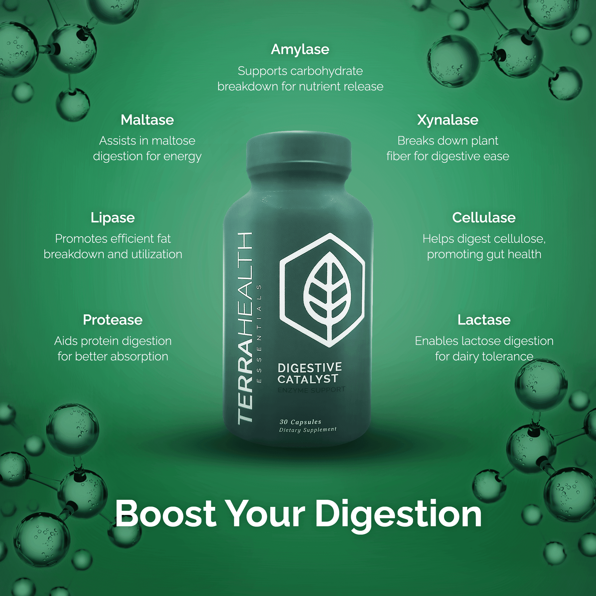 Terra Health Essentials Digestive Catalyst | Reduce IBS | Amylase, Protease & Glucoamylase (1 Bottle, 60 Capsules)