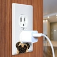 thumbnail image 3 of WIRESTER 1-Gang Duplex Outlet Cover Wall Plate/Switch Plate Cover, Animal Pug Puppy Dog, 3 of 6