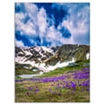 thumbnail image 2 of Spring Blooming Crocus Flowers - Landscape Canvas Art Print, 2 of 3