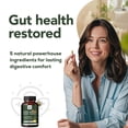 thumbnail image 5 of Herbal Bee Gut Health Capsules for Gas and Bloating Relief, Immune Support Supplement, 60 Count, 5 of 9