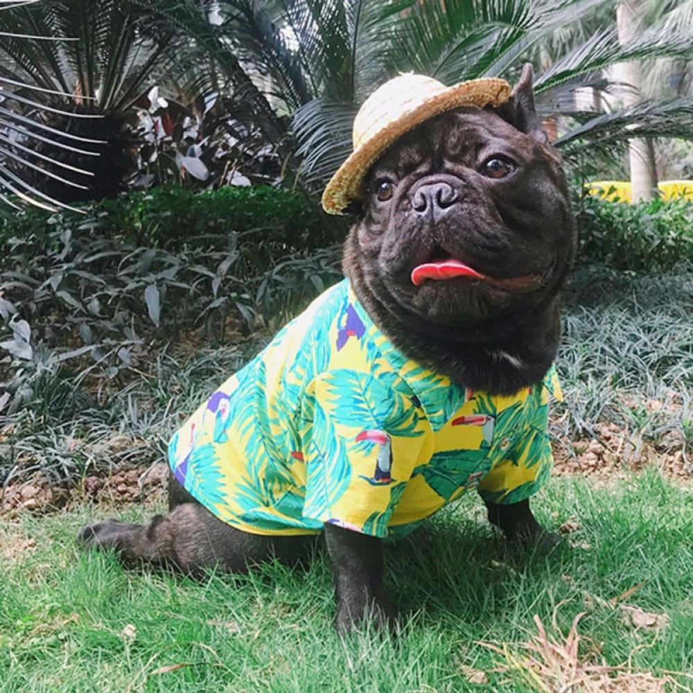Hawaiian dog clothes sales
