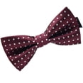 thumbnail image 2 of Maoww Cravate Formelle à Motif Coloré pour Hommes Adulte Homme Affaires Réunion Mariage Fil Polyester Nœud Papillon, 2 of 9