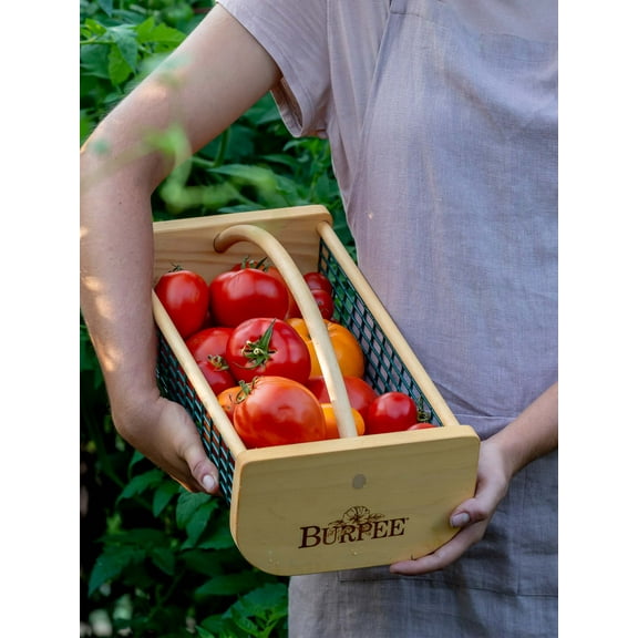 Burpee Garden Kitchen Hod