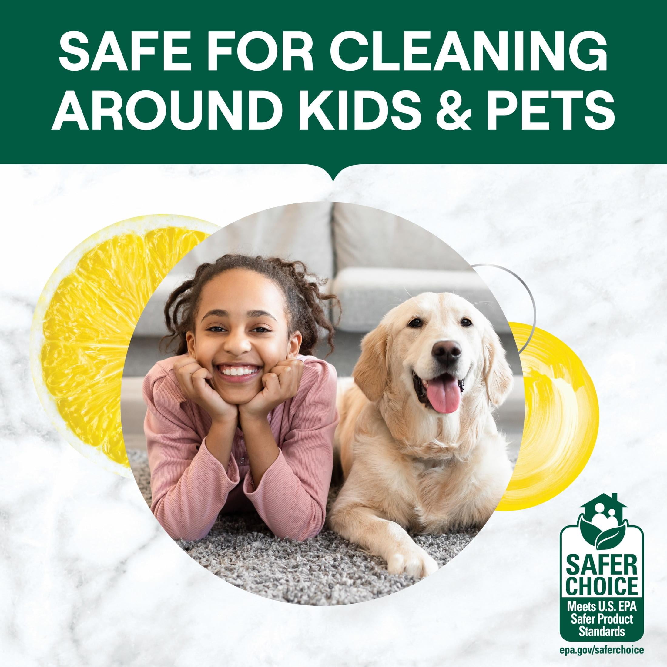 Pet-Safe and Eco-Friendly Cleaning Products · The Wildest