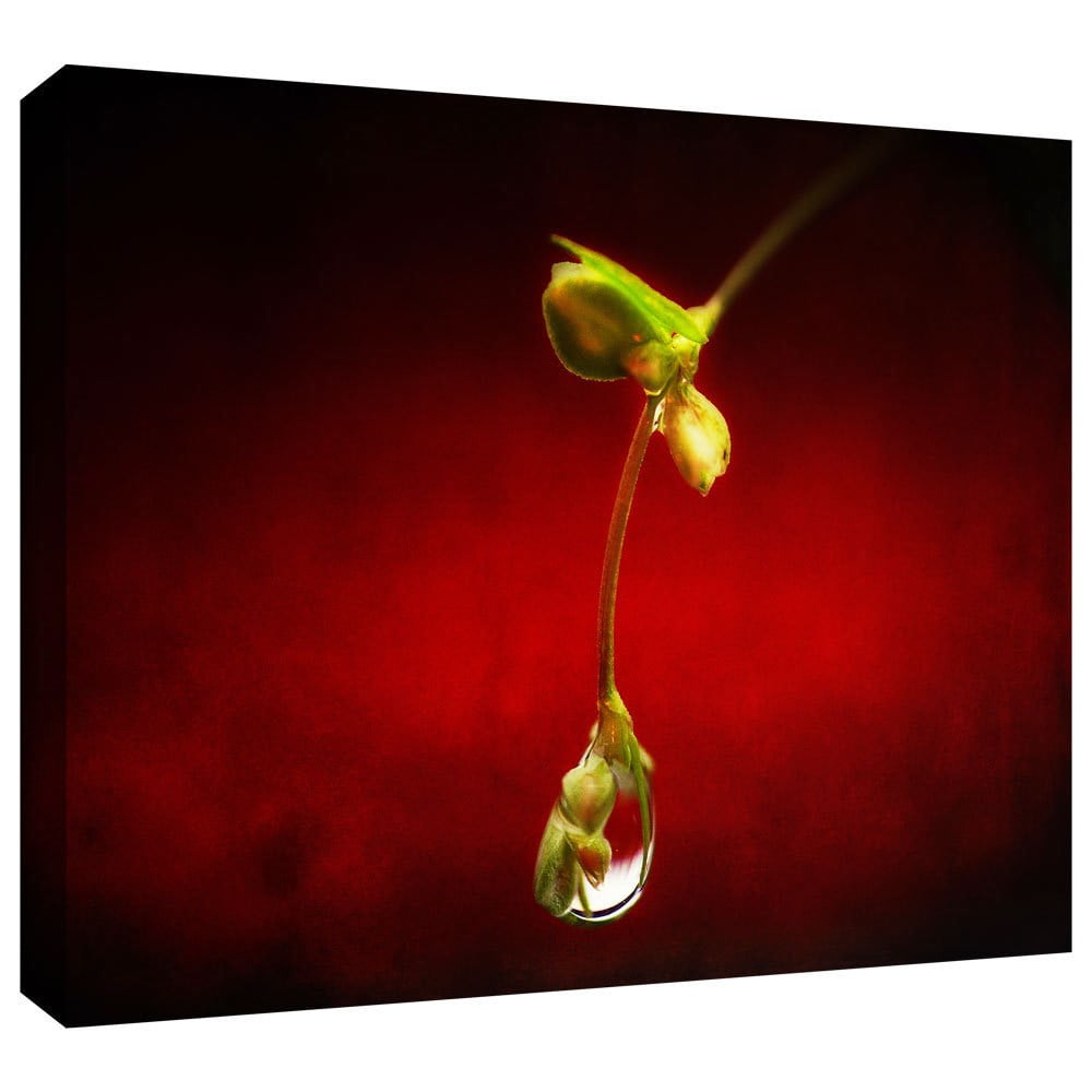 ArtWall Dragos Dumitrascu "Tears in the Rain" Gallery-Wrapped Canvas