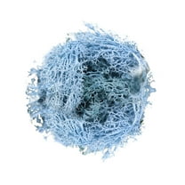 HCTSHG Fake Moss Preserved Reindeer Moss 10g for Potted Plants, Arts and Crafts, Terrariums, Wall Decor, Centerpieces, Fairy Gardens, Wedding, Floral Project