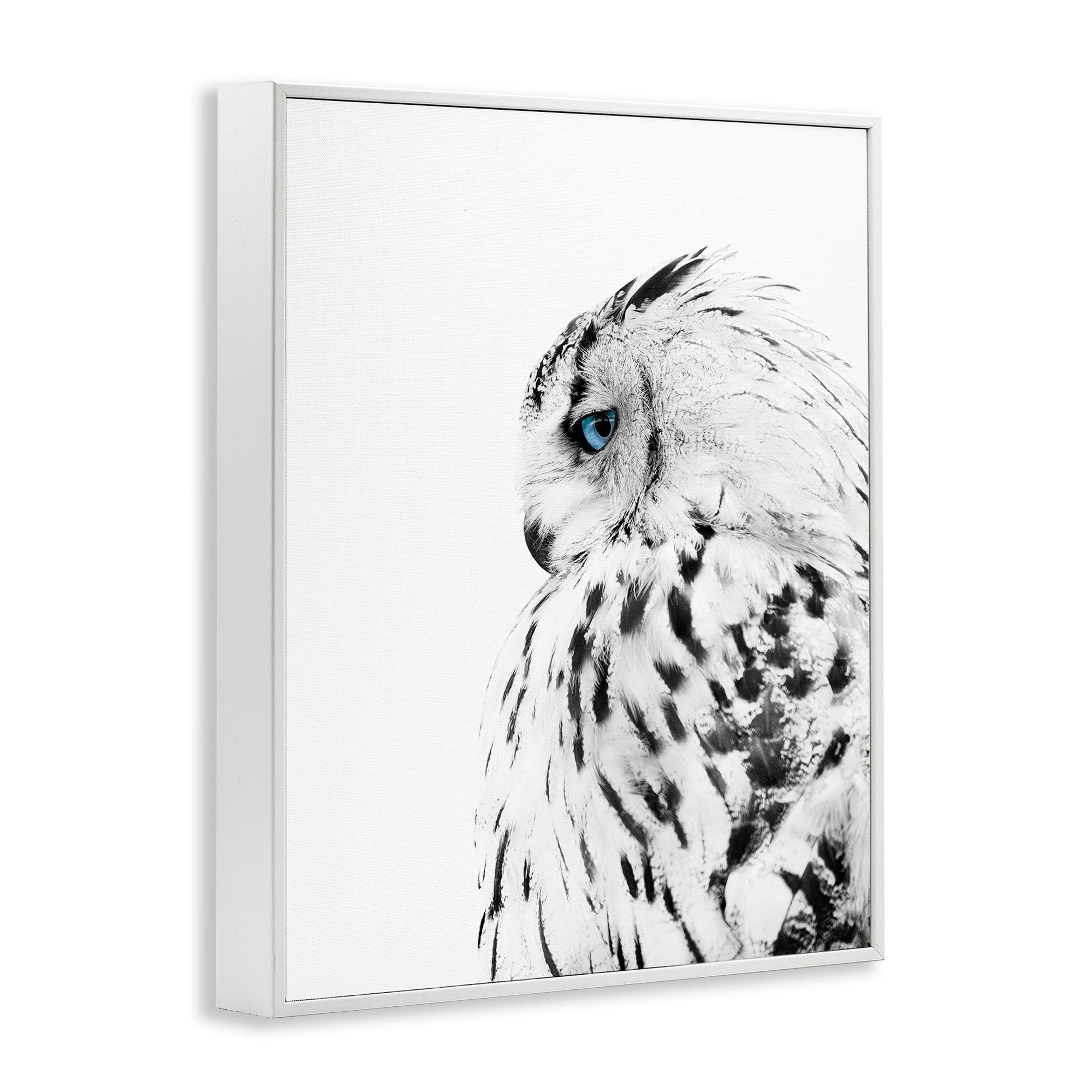 Stupell Industries Snow Owl White Feathers Peering Blue Eyes Photography Framed Art Print Wall Art, 11x14, By Design Fabrikken