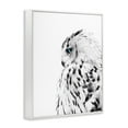 thumbnail image 5 of Stupell Industries Snow Owl White Feathers Peering Blue Eyes Photography Framed Art Print Wall Art, 11x14, By Design Fabrikken, 5 of 5