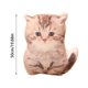 thumbnail image 3 of Puntoco Almohada de imitación de gatito, juguete de peluche, perro, pomerania, muñeca, niñas, almohada cómoda para dormir, 3 of 5