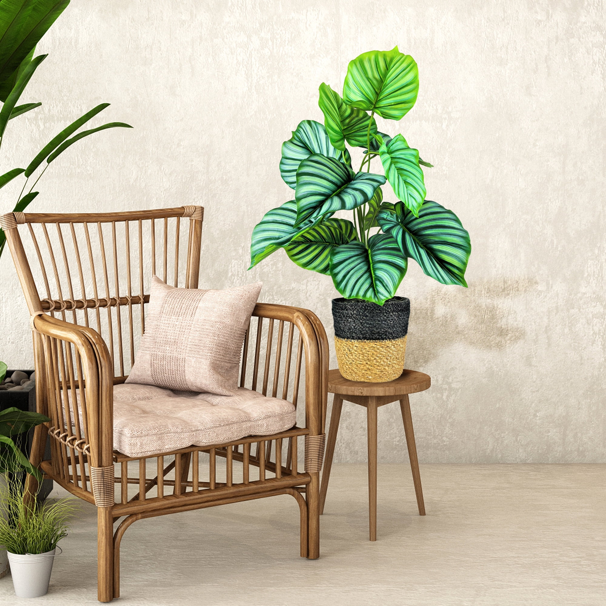 LCG Florals Artificial Plant, Prayer Plant, 2.5 ft, Two-Tone Decorative Handwoven Basket
