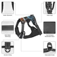 thumbnail image 6 of Fotbe Rustic Vintage Truck Autumn Pattern Dog Harness, No-Pull Pet Harness with 2 Leash Clips, Adjustable Soft Padded Dog Vest with Easy Control Handle for Large Dogs-Large, 6 of 6