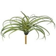 thumbnail image 1 of 10" Air Plant Faux Plants And Trees, 1 of 1