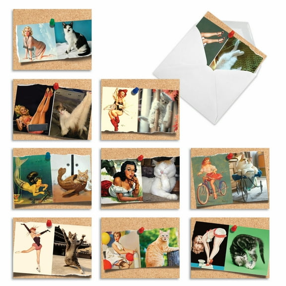 10 All Occasion Blank Note Cards Pack (4 x 5.12 Inch) - CATS AND CHICKS M6484OCB